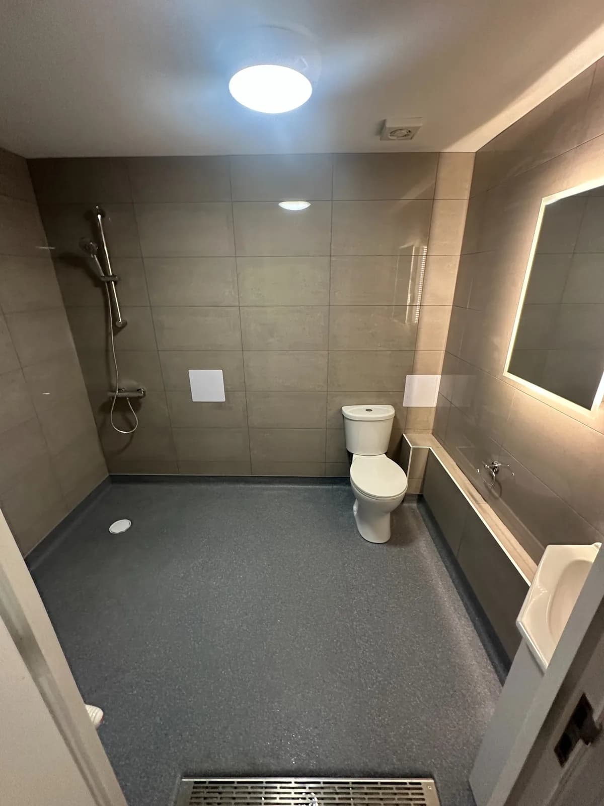 Contemporary grey bathroom with open shower area, WC and integrated vanity